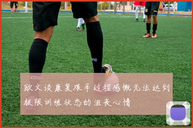 欧文谈康复艰辛过程感慨无法达到极限训练状态的沮丧心情