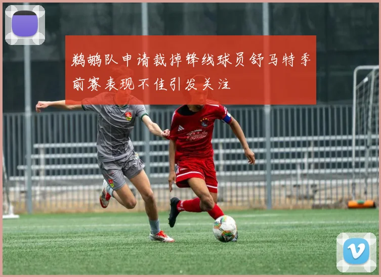 鹈鹕队申请裁掉锋线球员舒马特季前赛表现不佳引发关注